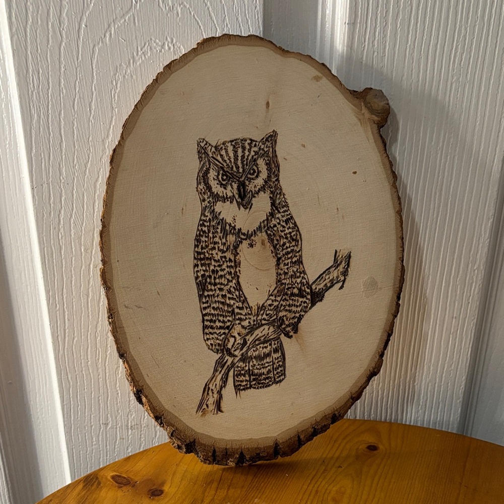 Handburned Owl Wood Slice Wall Art